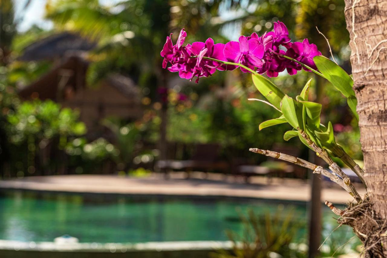 Hotel Ventura Barra Grande Barra Grande  Exterior foto
